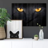Acrylglasbild Katzenaugen 