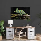 Tableau sur verre acrylique Brown - Caméléon 