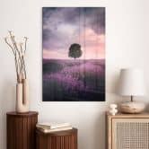 Acrylglasbild Lila Lavendelfelder bei Sonnenuntergang - Cevik 
