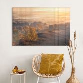 Tableau en verre acrylique Bouleaux dans la rosée dorée du matin - Cui 