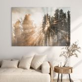 Tableau en verre acrylique Rayons de lumière dans la forêt - Eisenmann 
