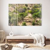 Acrylglasbild Savannenlandschaft in Afrika - Hugonnard 