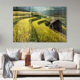 Acrylglasbild Intarob - Reisfelder in Vietnam 