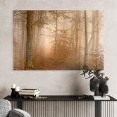 Tableau en verre acrylique Brume et lumière dans la forêt d'automne - Maier 