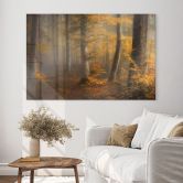 Acrylglasbild Goldene Blätter im nebligen Wald - Maier 