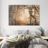 Acrylglasbild Wald im morgendlichen Nebel - Maier 