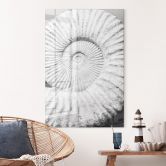 Acrylglas Fossile Muschel - Shot by Clint 