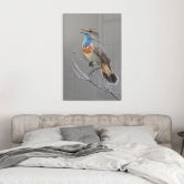 Acrylglasbild Singendes Blaukehlchen - van Duijn 
