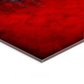 Acrylglasbild Fedrau - Rot 