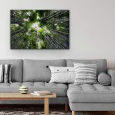 Acrylglasbild Hugonnard - Wald in Japan 