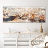 Tableau en verre acrylique Coquillages sur une plage ensoleillée - Treechild - Panorama 