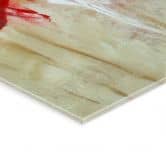 Acrylglasbild Melz - Filare 