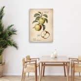 Leinwandbild Obst Weinlese Apfel 
