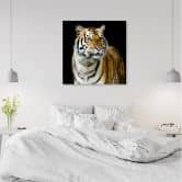 Leinwandbild, Tiger Wildtiere Natur 