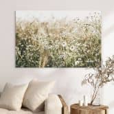 Wandbild Sommerwiese mit Kamille - Annie - Alu-Dibond 
