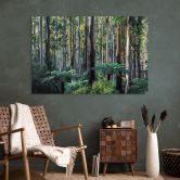 Wandbild Eukalyptuswald in den Yarra Ranges - Colombo - Alu-Dibond 