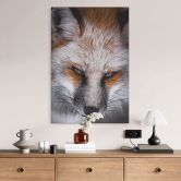 Wandbild Tierporträt Rotfuchs - Alu-Dibond - Nagi 