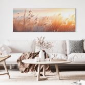 Wandbild Dünengras in der Abendsonne - Treechild - Alu-Dibond Panorama 