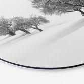 Alu-Dibond Carrillo Lopez - Weiße Landschaft - Rund 