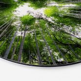 Alu-Dibond Hugonnard - Wald in Japan - Rund 
