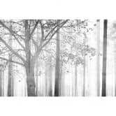 Architects Paper Fotobehang Atelier 47 Black & White Forest 