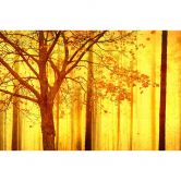 Architects Paper Fototapete Atelier 47 Edge Wald 