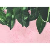 pink and green non-woven wallpaper Designwalls Leaves Wall palms jungle 
