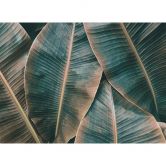 Livingwalls Fototapete Designwalls Banana Leaves Natur 