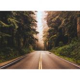 Livingwalls Fototapete Designwalls Road Trip Wald 