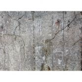 Livingwalls Fototapete Designwalls Old Concrete in Betonoptik 
