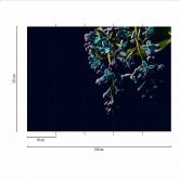 Fototapete Blumen DarkFlowers2 in schwarz lila - Vliestapete Designwalls 2 - 2,55 x 3,5 m 