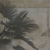 Fototapete Holztapeten ShadeOfPalm2 in grau grün - Vliestapete Designwalls 2 - 2,55 x 3,5 m 