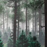 Trees In Fog bosbehang in grijsgroen - vliesbehang Designwalls 2 - 2,55 x 3,5 m 