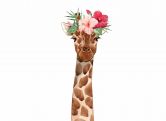 Fototapete Babyzimmer GiraffePortrai weiß braun - Vliestapete Designwalls 2 - 2,55 x 3,5 m 