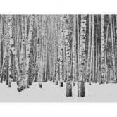 Papier peint Livingwalls Metropolitan stories THE WALL 