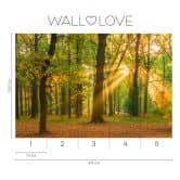 Wald-Fototapete mit Sonnenstrahlen Grün Braun – Vliestapete 3,75 m x 2,50 m Naturmotiv 