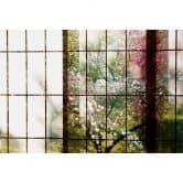 Livingwalls Fototapete Walls by Patel 2 orchard 1 