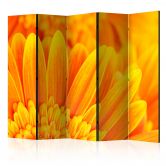 Paravent, Raumteiler freistehend, Trennwand - Gelbe Gerbera 