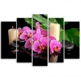 Leinwandbild 5 teilig, Orchidee Orchideen-Kerzen 