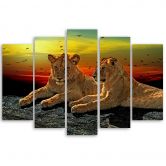 Leinwandbild 5 teilig, Löwen Savanne Afrika Natur 