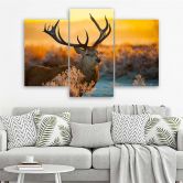 Leinwandbild 3-teilig, Hirsch Tier Sonnenuntergang Natur 