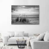 Leinwandbild, Gräser am Strand - schwarz und weiß 