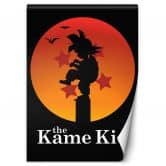 Fototapete, Kame Kid 