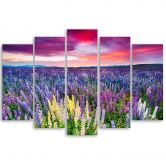 Leinwandbild 5 teilig, Blumen Wiese Lila 