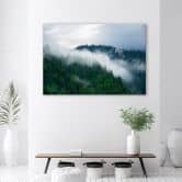 Leinwandbild, Wald im Nebel 
