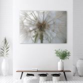 Leinwandbild, Pusteblume Pflanzen Natur 