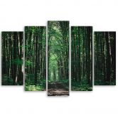 Leinwandbild 5 teilig, Waldgrün Natur 
