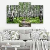 3-delige canvas print, berkenbos natuur 