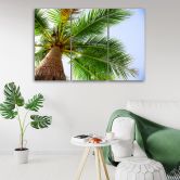 Leinwandbild 3-teilig, Tropische Palme  