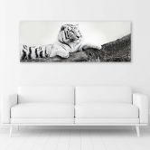 Leinwandbild, Tiger Wildtiere Natur 